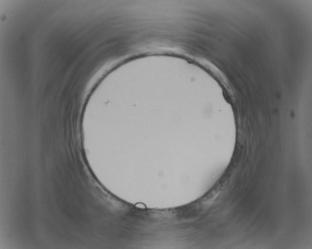 X0000078241191200612011557