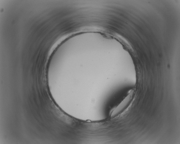 X0000078241192200612011557