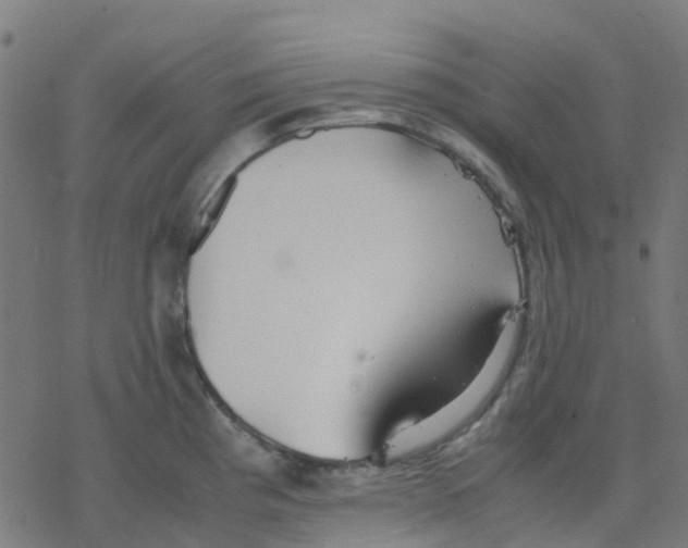 X0000078241193200612011557