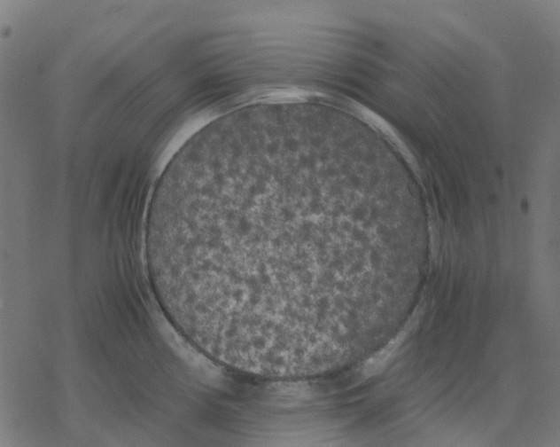 X0000078241194200612011557