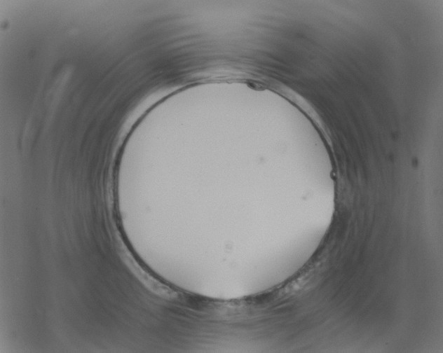 X0000078241195200612011557