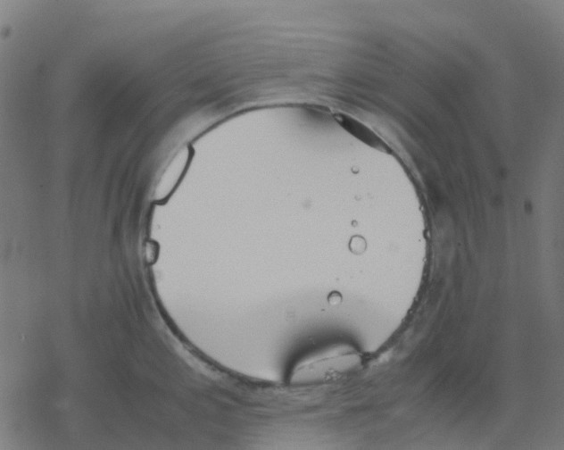 X0000078241197200612011557