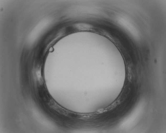 X0000078241198200612011557