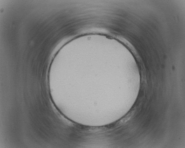 X0000078241199200612011557