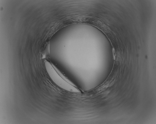 X0000078241202200612011556