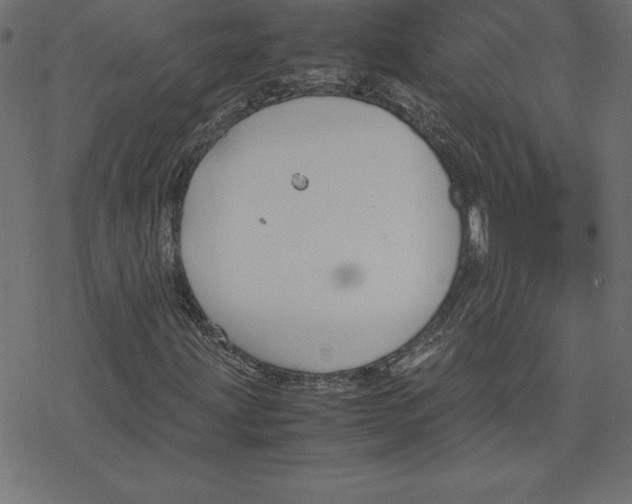 X0000078241203200612011556