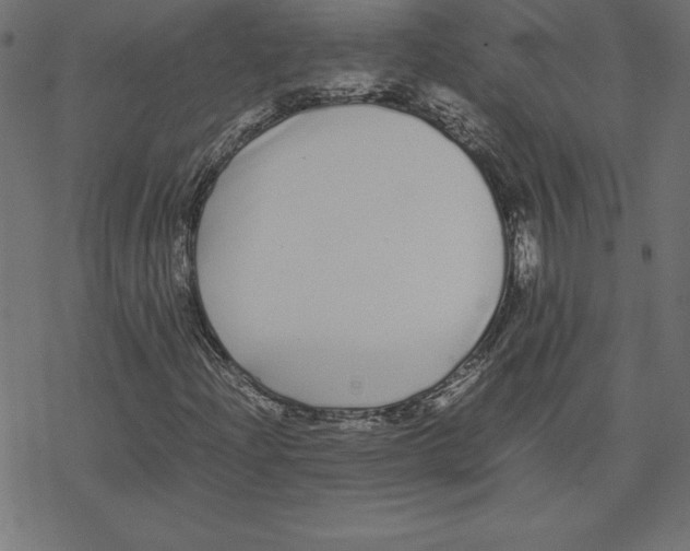 X0000078241204200612011556