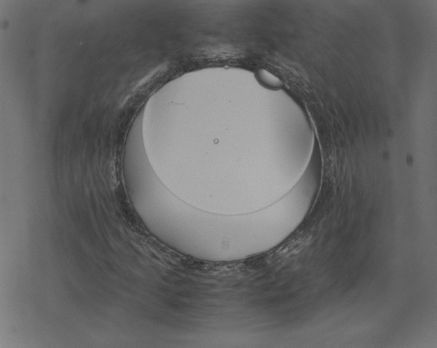 X0000078241205200612011556