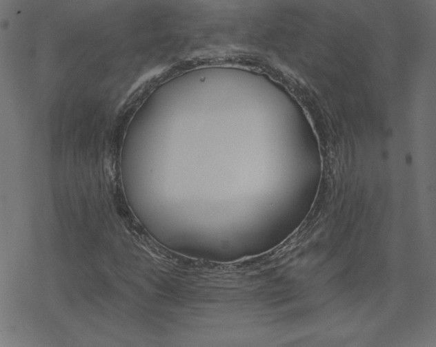 X0000078241206200612011556