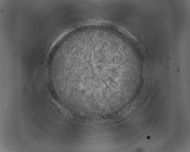 X0000078241208200612011556