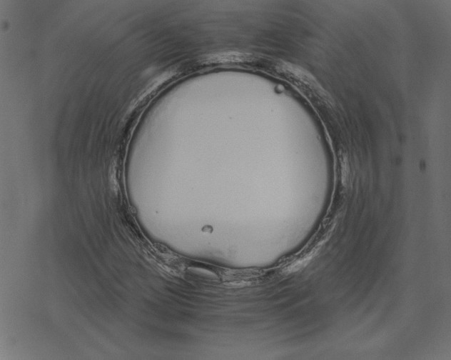 X0000078241209200612011556