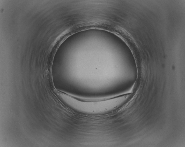 X0000078241210200612011556