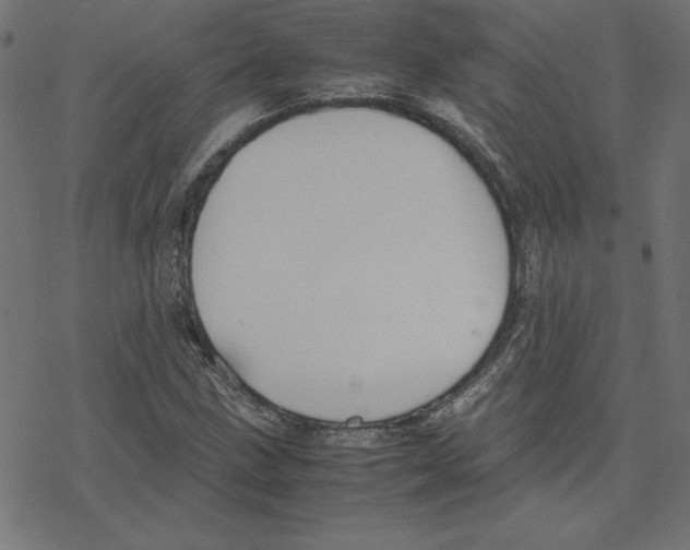 X0000078241211200612011556