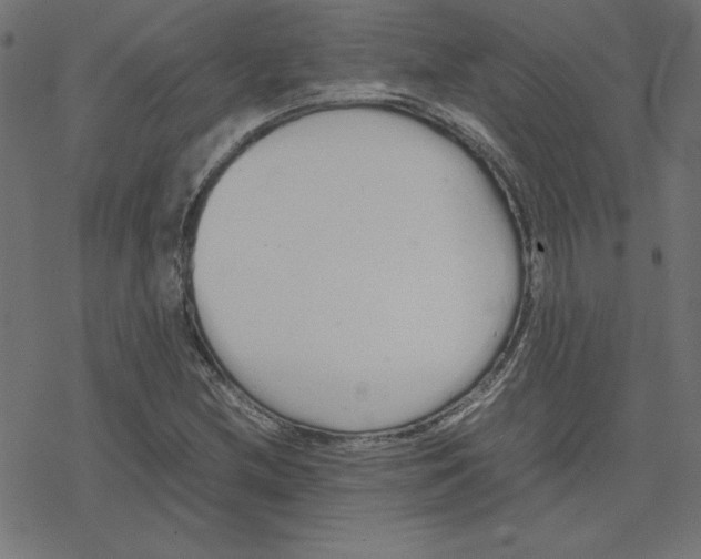 X0000078241212200612011556