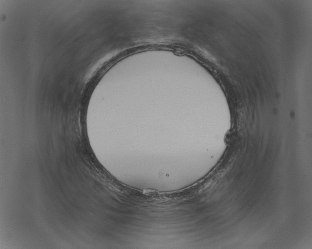 X0000078241214200612011556