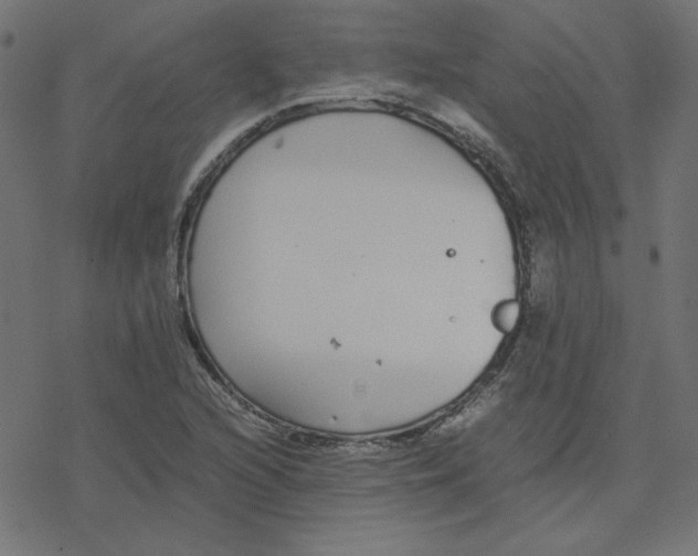 X0000078241216200612011556