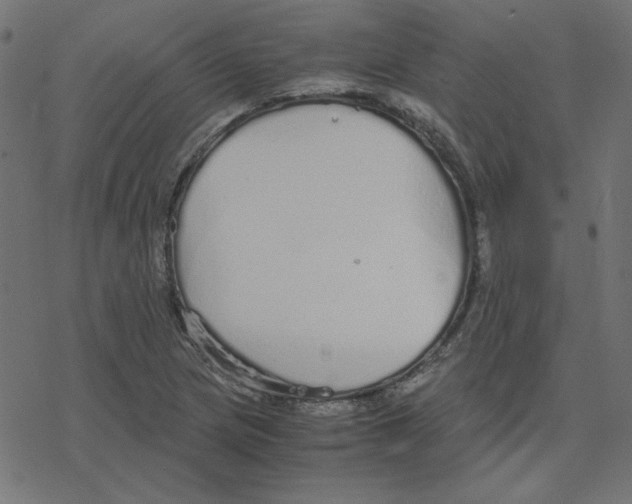 X0000078241217200612011556