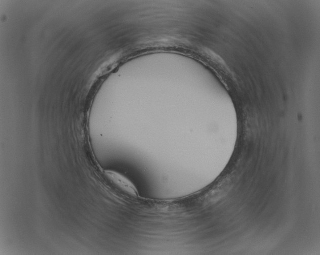 X0000078241218200612011556