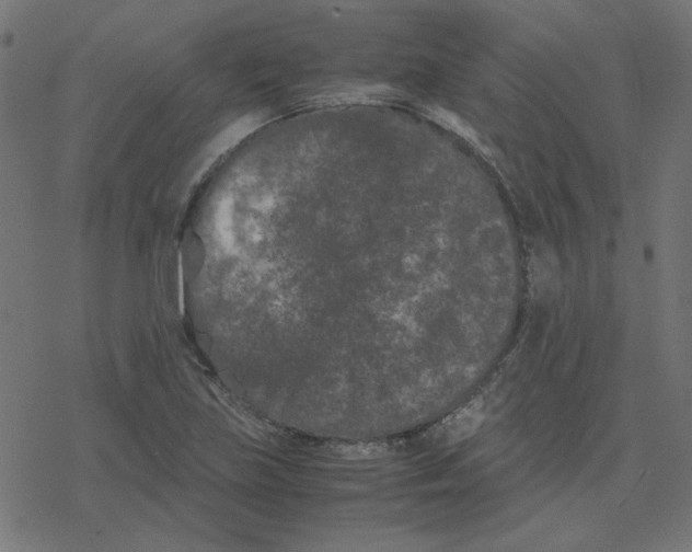 X0000078241219200612011556