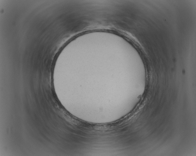 X0000078241220200612011556