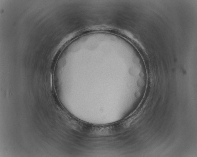 X0000078241221200612011556