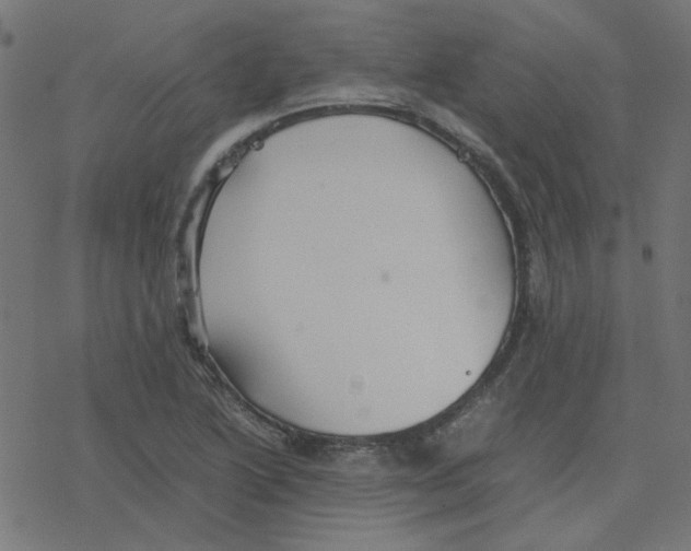 X0000078241222200612011556