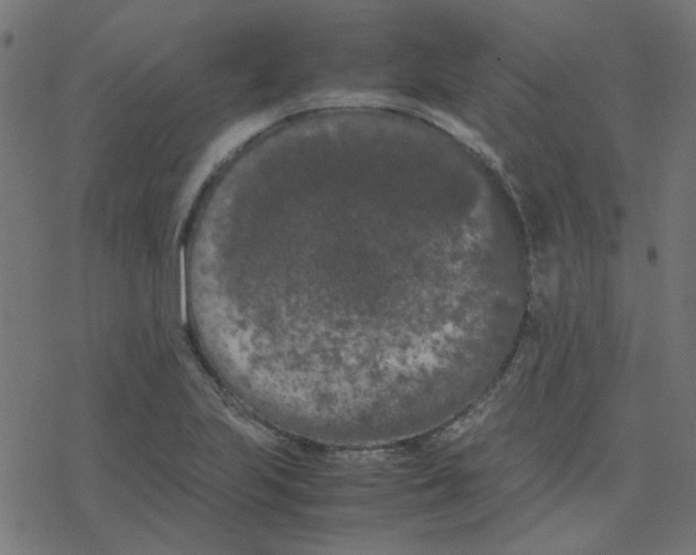 X0000078241223200612011556