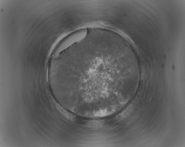 X0000078241224200612011556