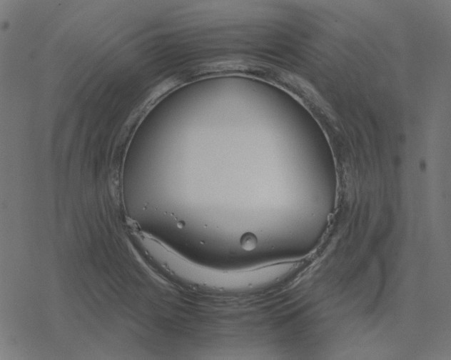 X0000078241225200612011556