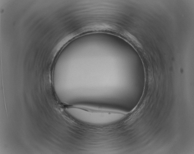 X0000078241226200612011556