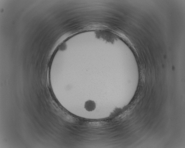 X0000078241227200612011556