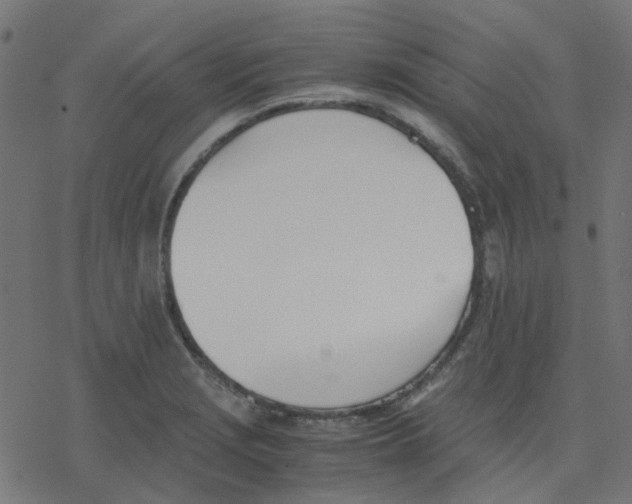 X0000078241229200612011556