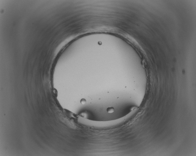 X0000078241230200612011556