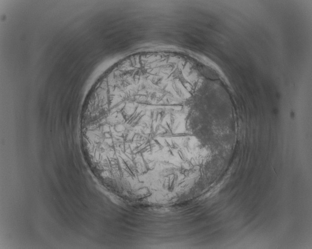 X0000078241231200612011556