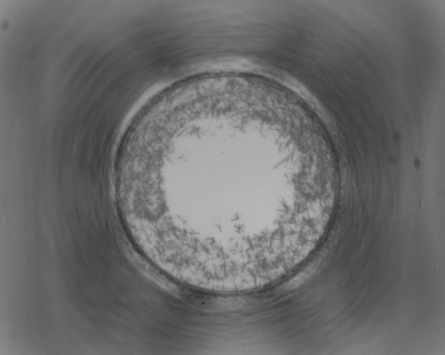 X0000078241232200612011556