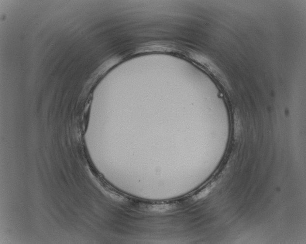 X0000078241233200612011556