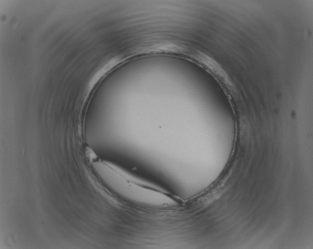 X0000078241234200612011556