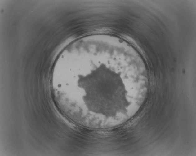 X0000078241235200612011556