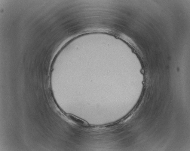 X0000078241236200612011556