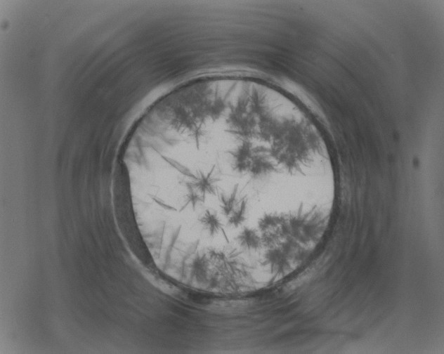 X0000078241237200612011556