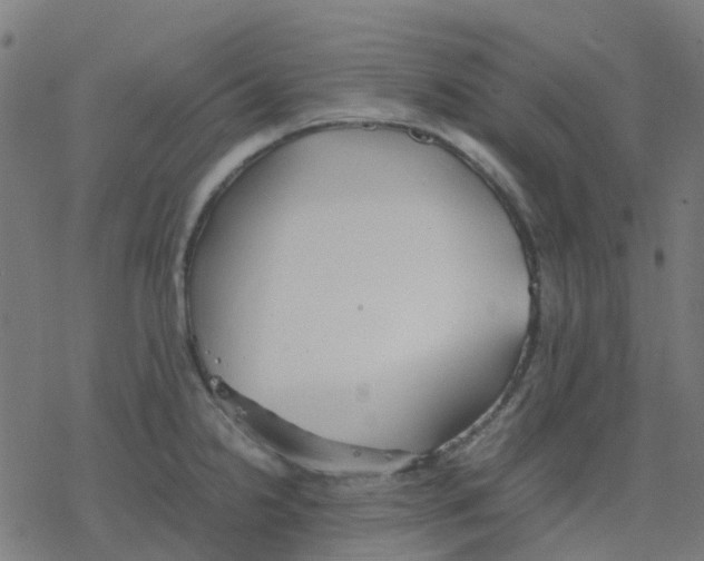 X0000078241238200612011556