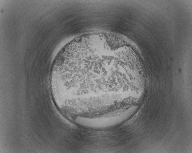 X0000078241239200612011556