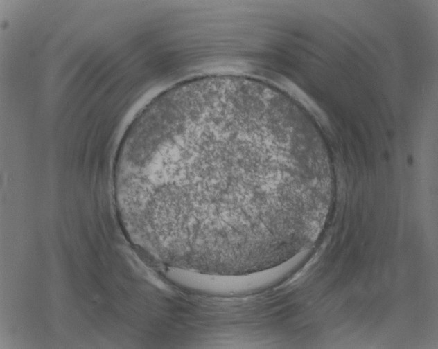 X0000078241240200612011556