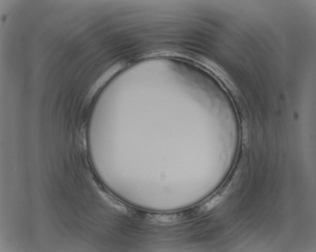 X0000078241241200612011556