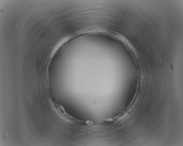 X0000078241242200612011556