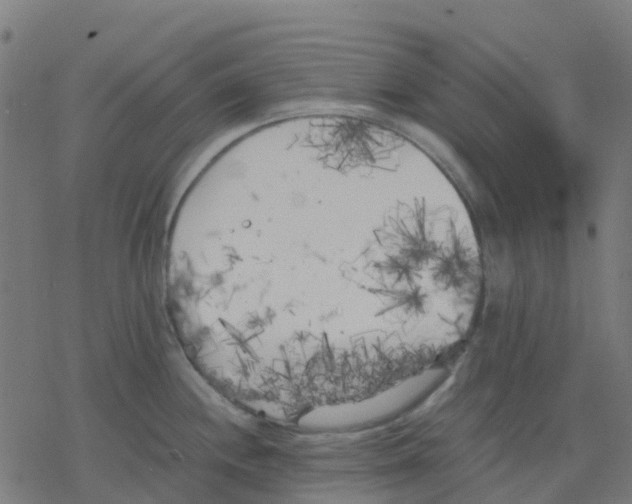 X0000078241244200612011557