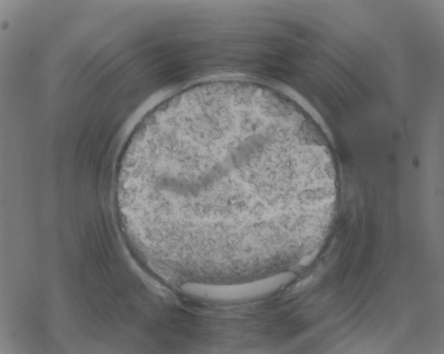 X0000078241245200612011557