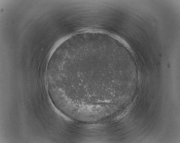 X0000078241247200612011557