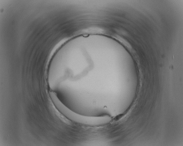 X0000078241248200612011557