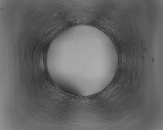 X0000078241250200612011556